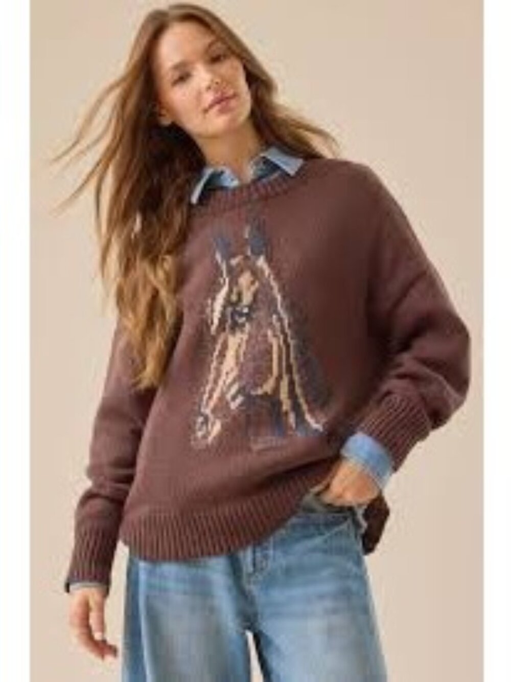 Altar'd State Brown Dakota Horse Pullover Relaxed Sweater Size Small
